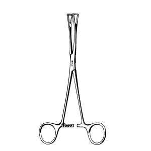 Duval Lung Forceps, 1 Jaw 8"