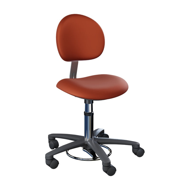 21340B-Surgeon-with-Backrest_Tapestry-whitebg