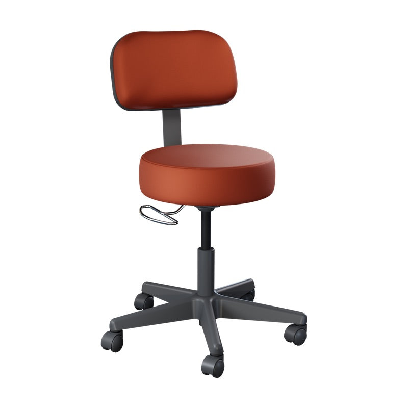 22500-Value-Plus-Stool-with-Backrest_Tapestry-whitebg