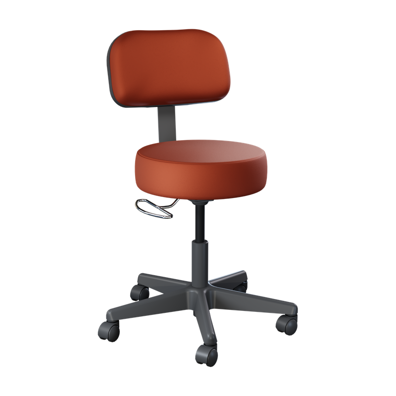 22500-Value-Plus-Stool-with-Backrest_Tapestry