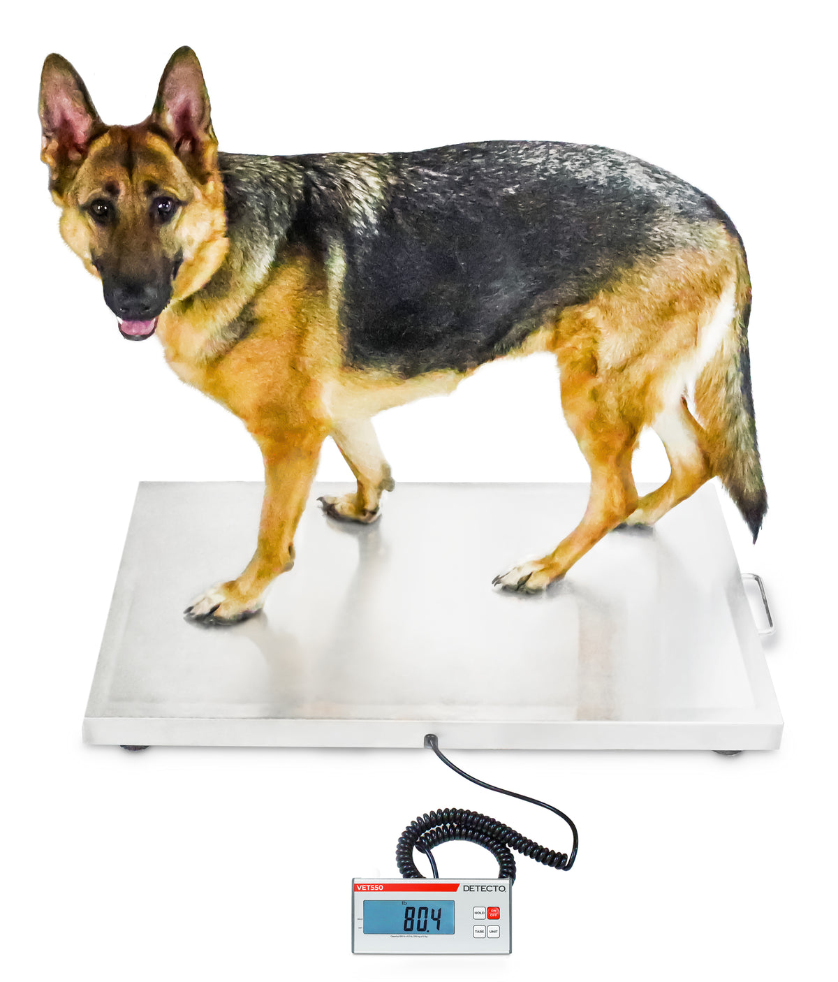 Detecto VET550 Digital Veterinary Floor Scale - view 3