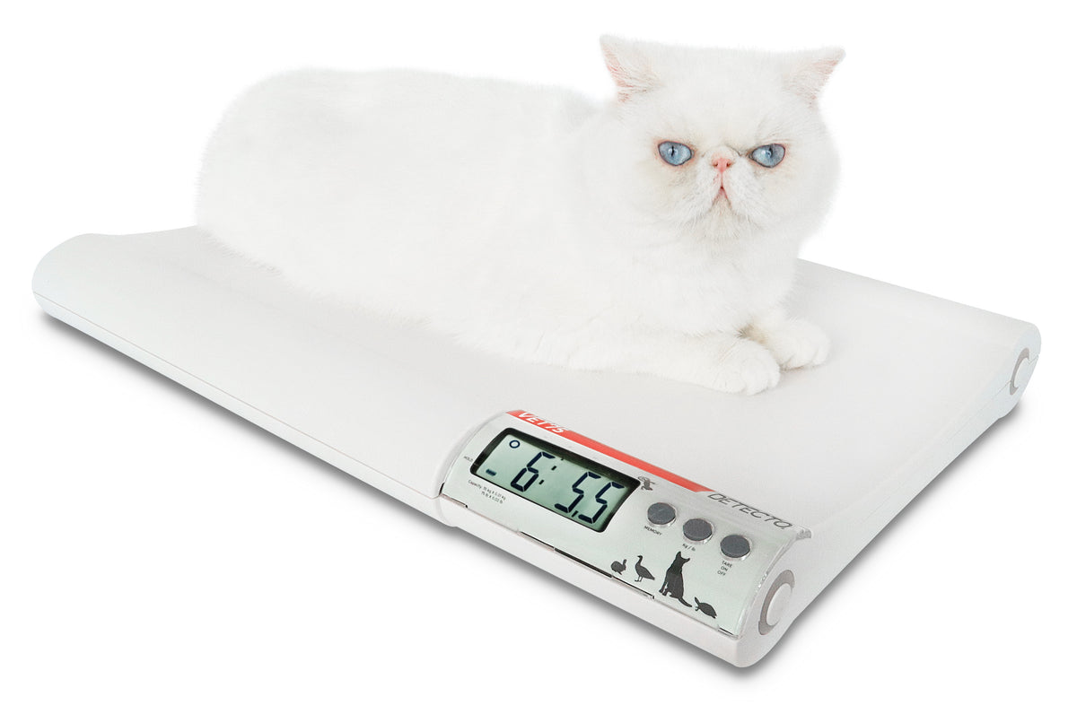 Detecto VET75 Digital Veterinary Scale - view 3