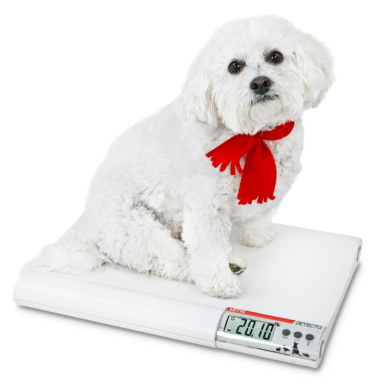 Detecto VET75 Digital Veterinary Scale - view 4